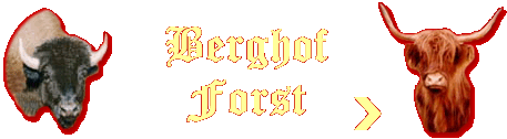 Berghof Forst