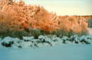 Winterlandschaft