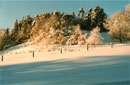 Winter